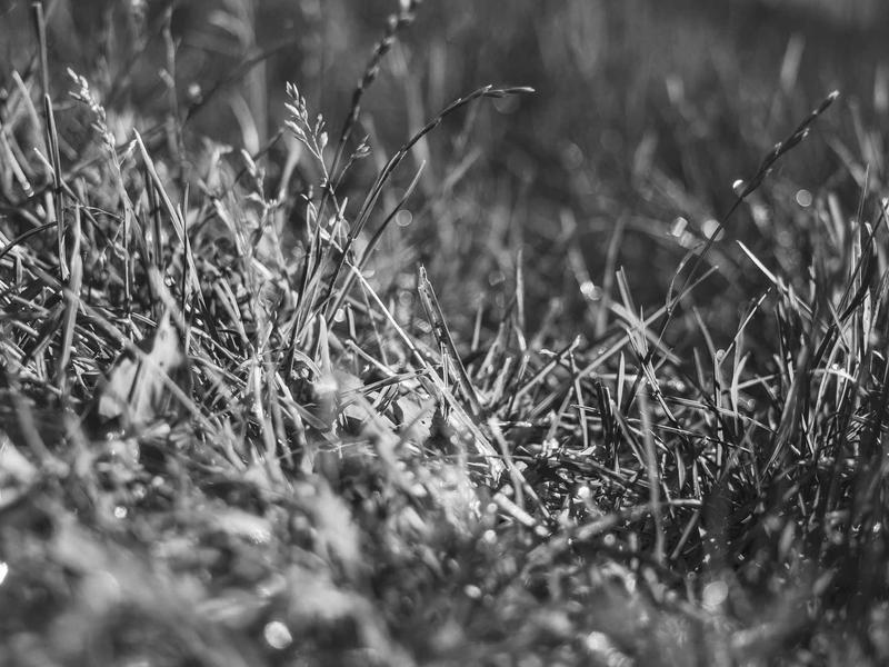 sudoku problem solving screenshot 6