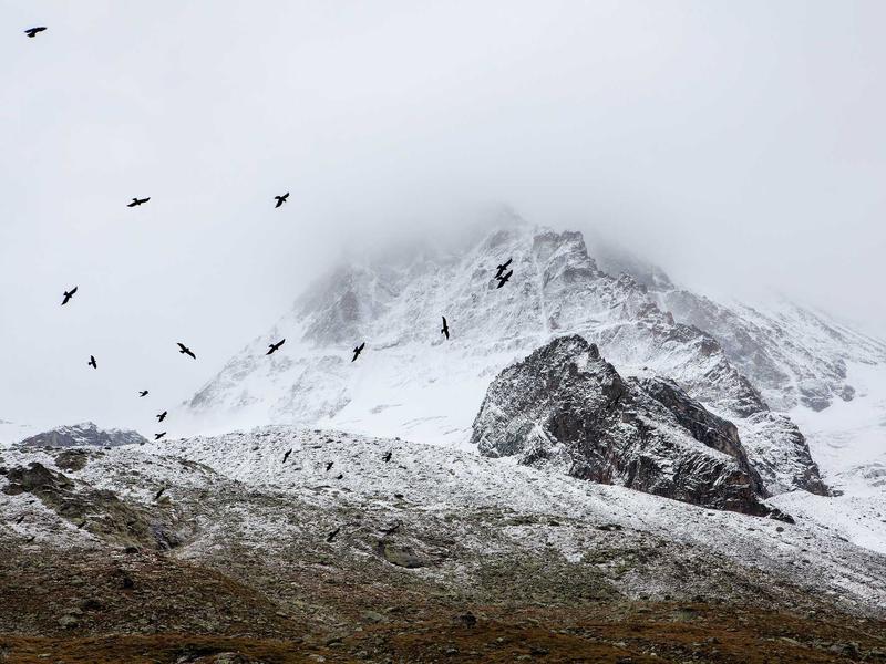 sudoku problem solving screenshot 5